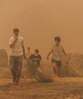 Imagen secundaria 2 - Miguel Fernández contempla su explotación avícola devastada (arriba) / Samuel y José Antonio, frente a sus casas consumidas por las llamas (izq.) / Vecinos de Vilar de Lebres, escapan de las llamas junto a Agrícola Calvo (dcha.) 