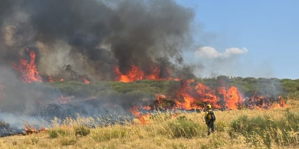 Castilla-La Mancha envía medios aéreos, maquinaria pesada y 27 efectivos a los incendios de Galicia, Extremadura y Castilla y León