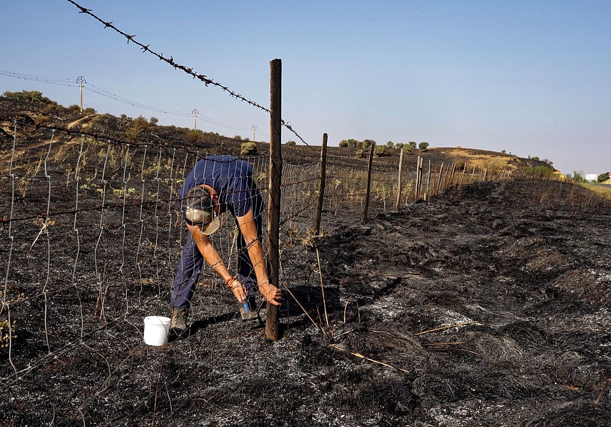 n ganadero repara la valla de su finca afectada por el incendio en las proximidades de Urraca-Miguel, barrio anexionado a 13 kilómetros de Ávila capital