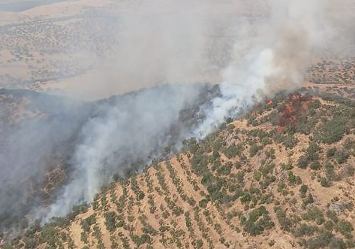 Incendio forestal en Villanueva del Rey