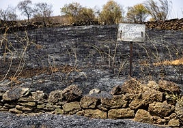 Castilla-La Mancha activa  el riesgo excepcional por incendios forestales: estará en vigor lunes y martes