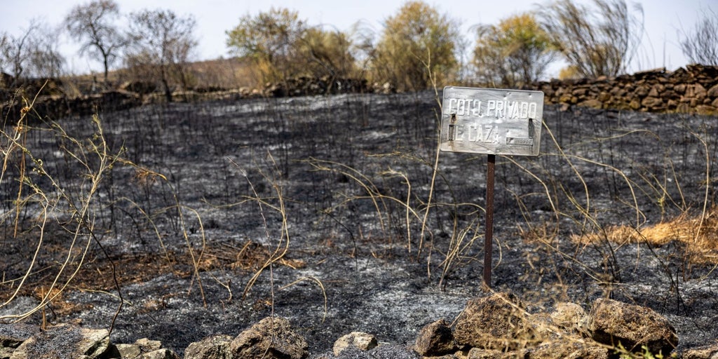 Castilla-La Mancha activa esta medianoche el riesgo excepcional por incendios forestales: estará en vigor lunes y martes