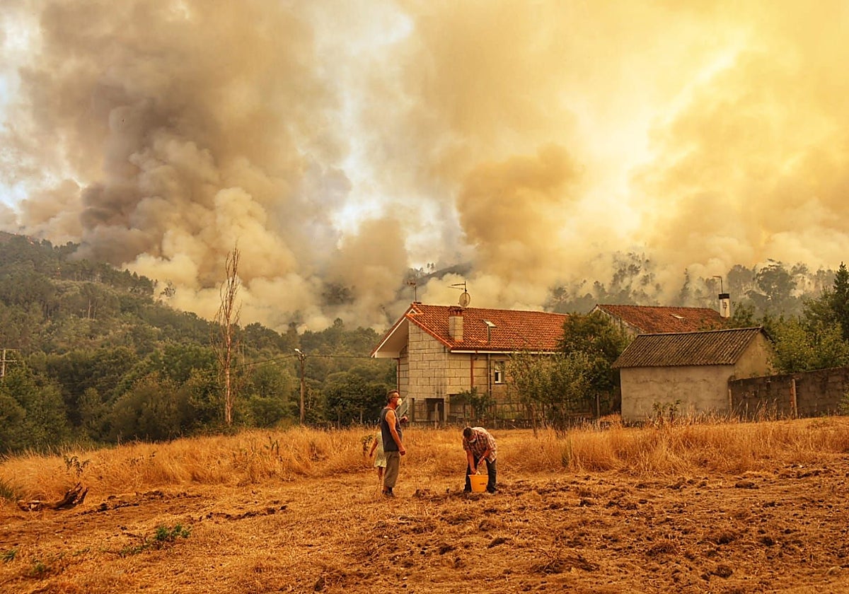 El avance del incendio de Carballeda de Avia cercando viviendas este domingo