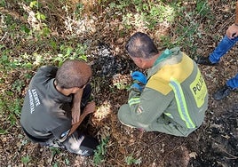 Asoma un nuevo perfil de incendiarios: jóvenes que sólo queman por diversión