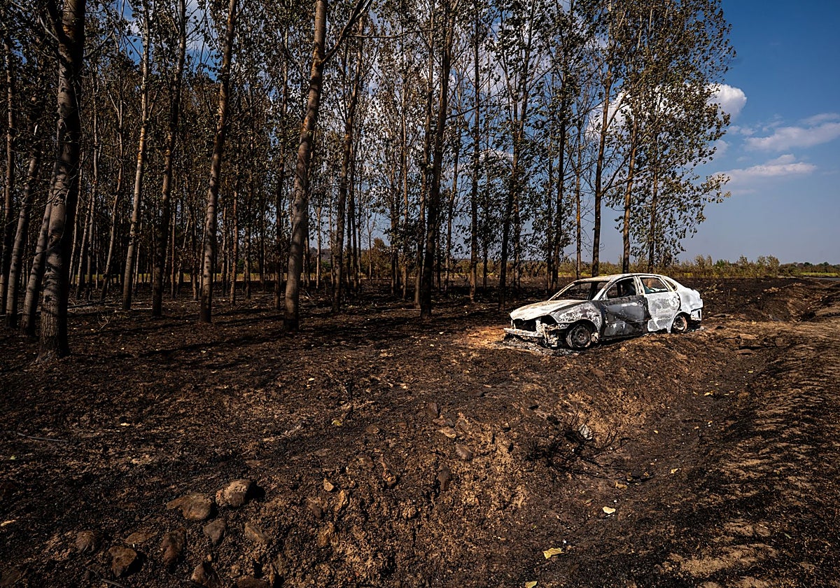 Palacios de Jamuz, uno de los municipios leoneses afectados por el incendio de Molezuelas de la Carballeda (Zamora)