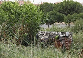 Mariposarios y cajas nido echan una mano a la Naturaleza en los parques madrileños