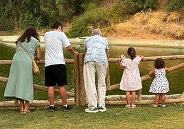 Ya son 669 los menores de Castilla-La Mancha que viven con una familia de acogida