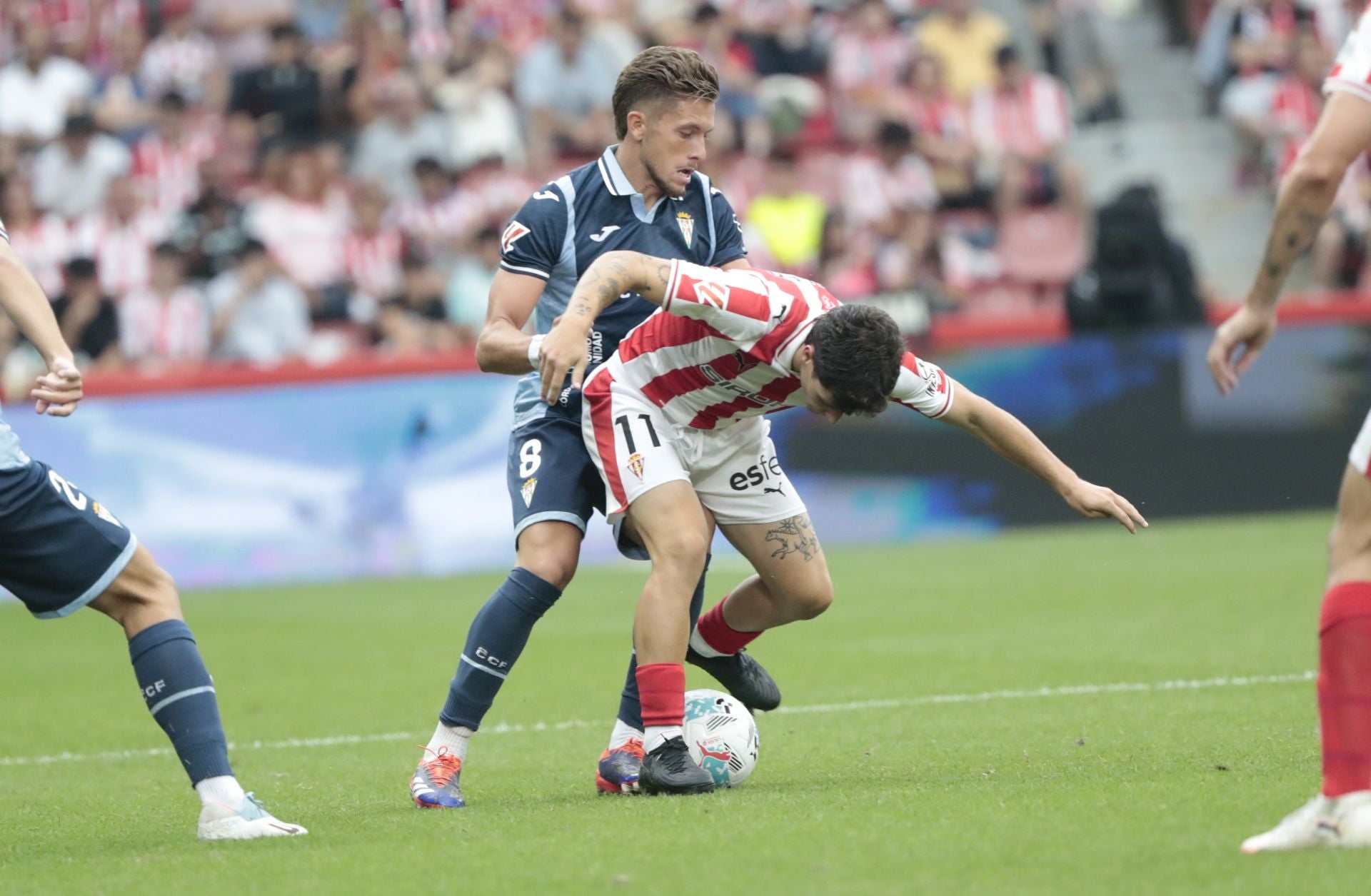 La derrota del Córdoba en Gijón, en imágenes