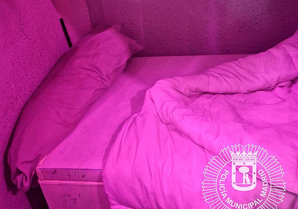 El camastro sobre el arcón frigorífico, en el bar inspeccionado