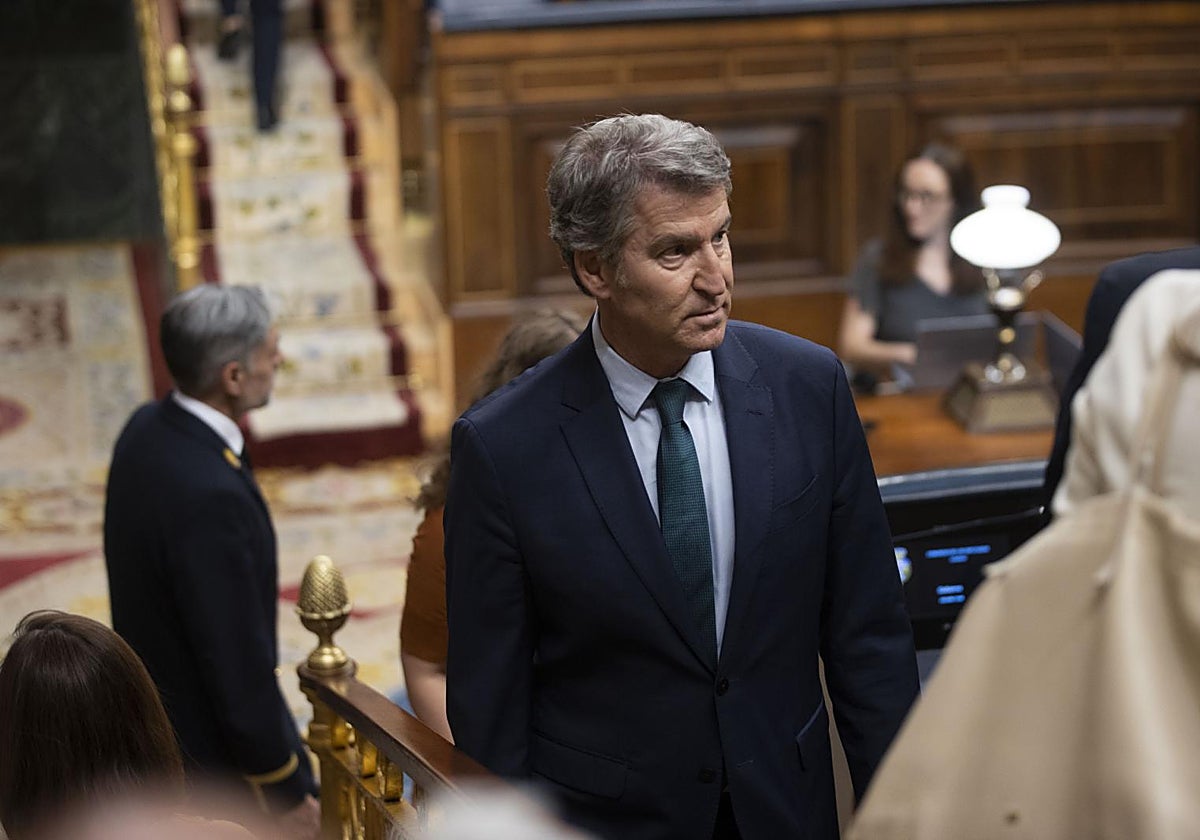 Alberto Núñez Feijóo en el Congreso de los Diputados