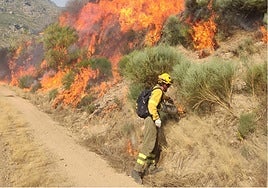 «Angustia y preocupación» en Candelario (Salamanca) por el incendio proveniente de Extremadura