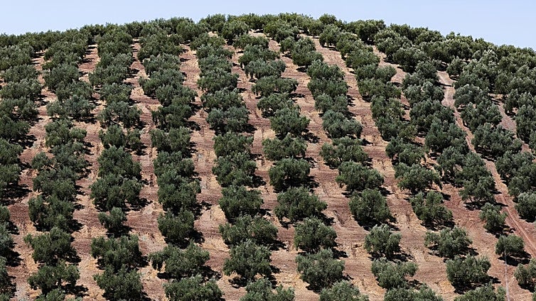 Mora y Ajofrín, contra las posibles expropiaciones: «Ya nos tocará pagar esos fondos europeos gastados en 'tontás'»
