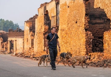 «Las 80 vacas de mi primo salvaron el pueblo»