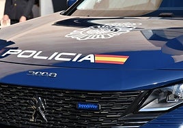 En prisión dos jóvenes asistentes a una 'rave' por un robo con violencia a una anciana