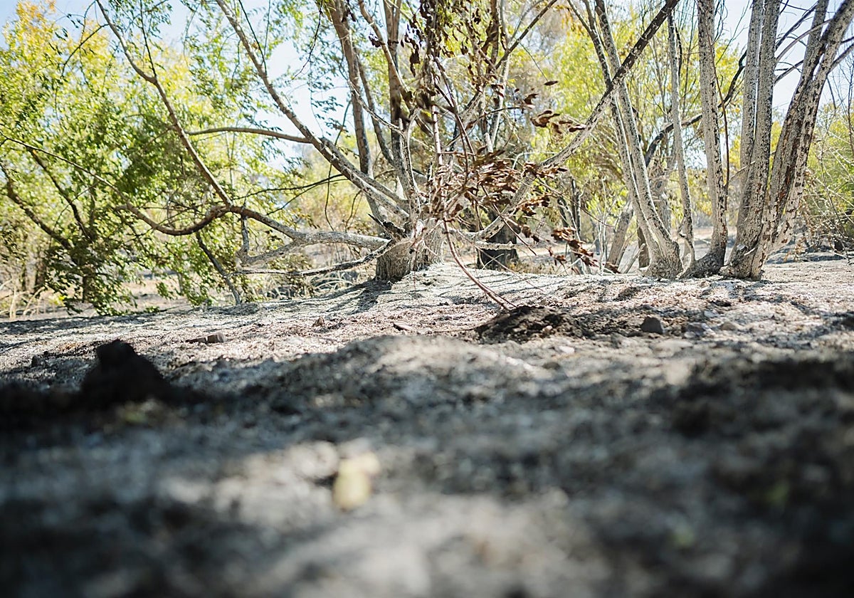 Imagen de archivo de un incendio