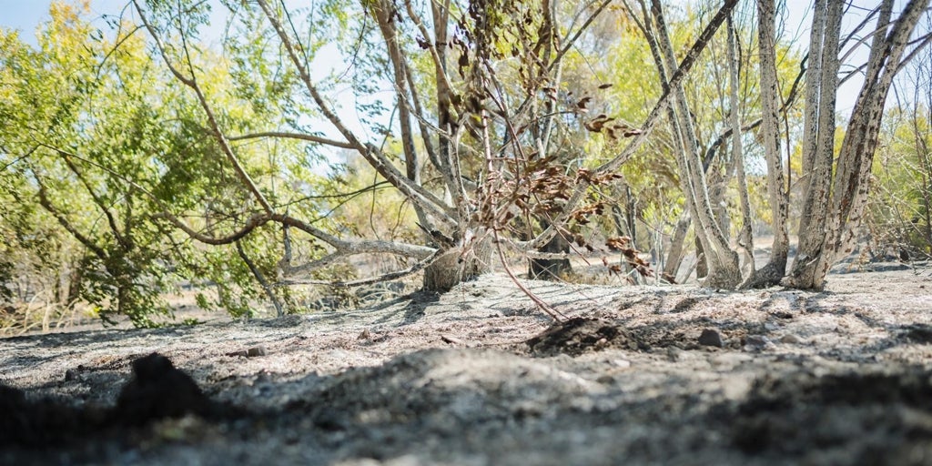 Servicios de extinción de Madrid y Castilla-La Mancha trabajan en el incendio declarado entre Méntrida y Aldea del Fresno