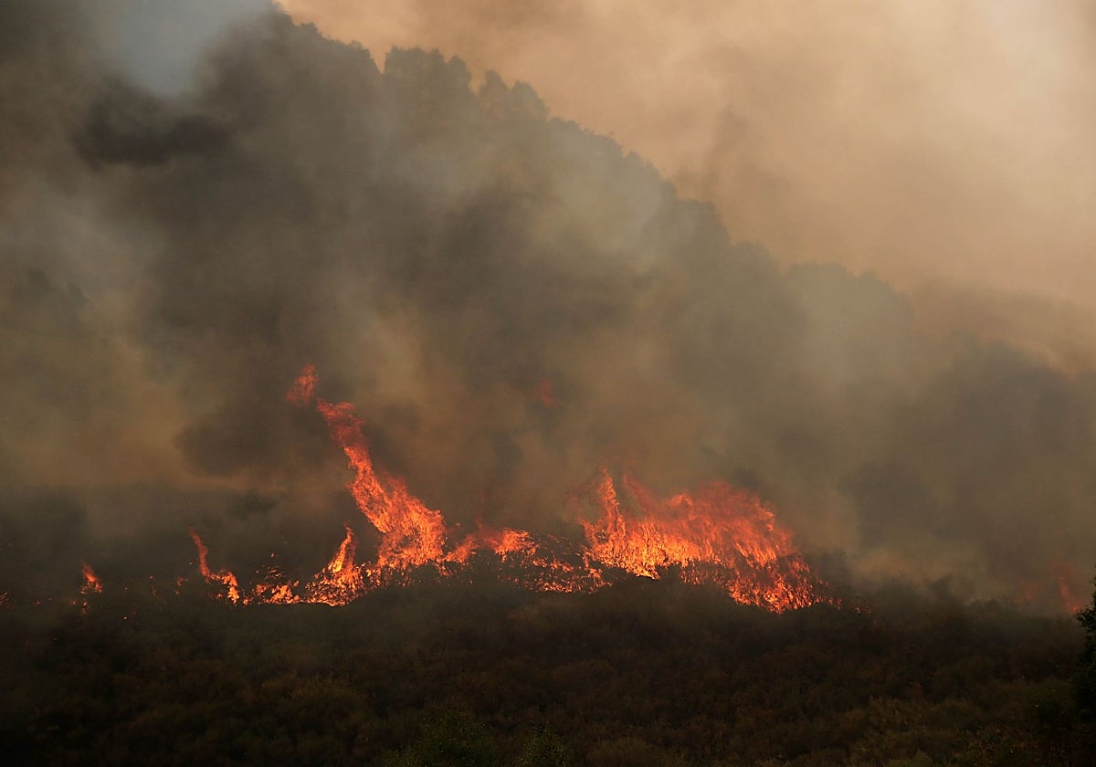 Incendio de Fasgar, en la provincia de León, junto al que han provocado otro
