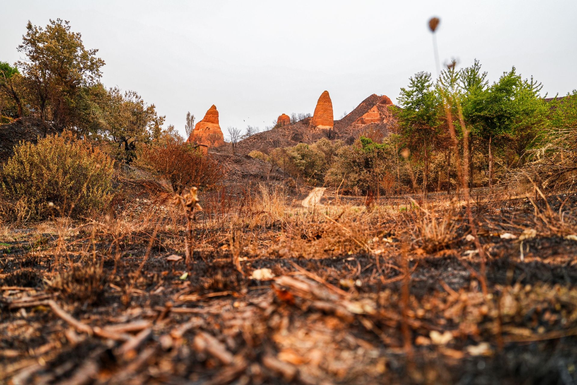 Las Médulas, al fondo, en una imagen del terreno afectado por el fuego en Yeres