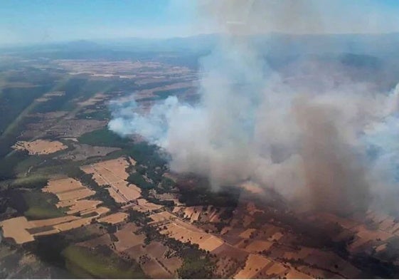 Incendios forestales. Archivo