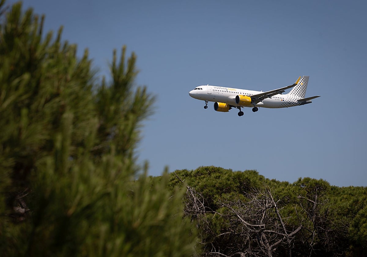 Una imagen de archivo de un avión de Vueling
