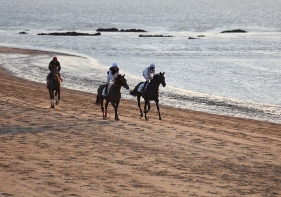 Las carreras de caballos de Sanlúcar de Barrameda llegaron a su fin