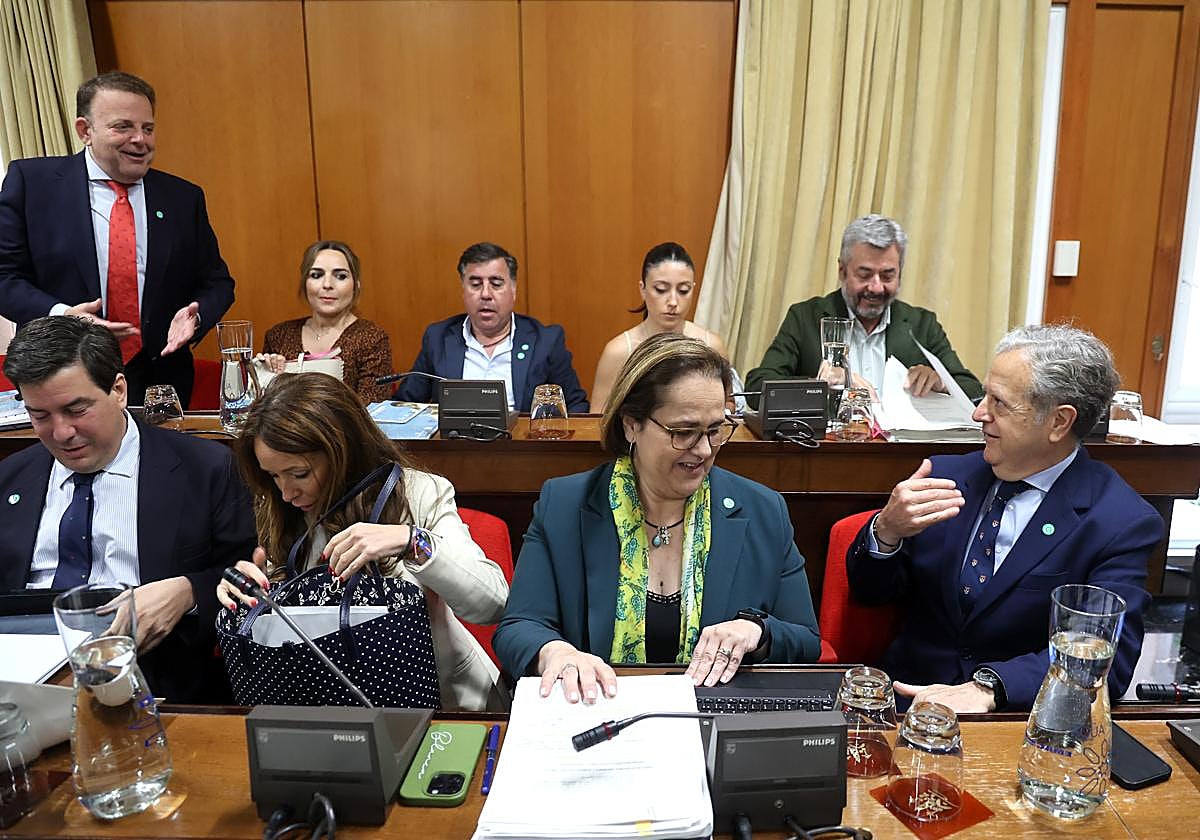 La edil de Hacienda en la bancada del gobierno municipal, antes del inicio del Pleno