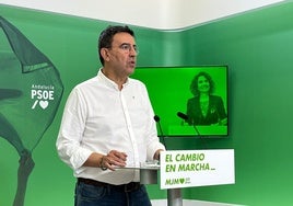 El PSOE pide a Fiscalía investigar a la Junta de Andalucía por «negligencia» en la prevención de incendios
