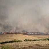 Una colilla mal apagada originó el incendio de Méntrida (Toledo), de más de 3.000 ha, según Nofumadores