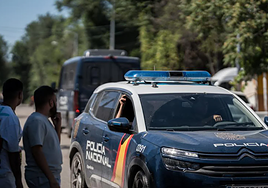 Detienen en el municipio malagueño de Torre del Mar a un hombre por destrozar con un hacha siete coches de la Policía Nacional