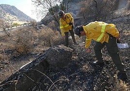 La brigada andaluza que descifra los secretos del fuego