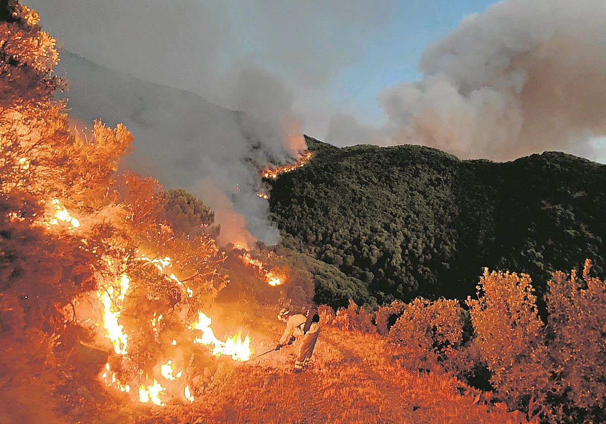 Incendio en Málaga.