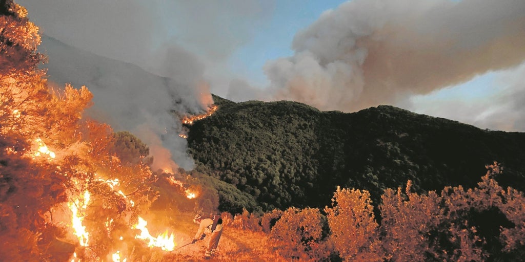 El 90% de los incendios está causado por el ser humano