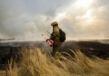 El incendio de Molezuelas de la Carballeda (Zamora) baja a nivel 0 después de arrasar 31.500 hectáreas