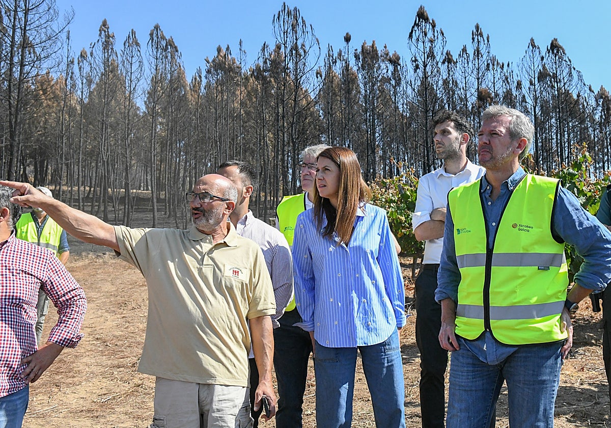 Rueda, acompañado de la conselleira de Medio Rural, revisa la afectación de viñedos en Verín