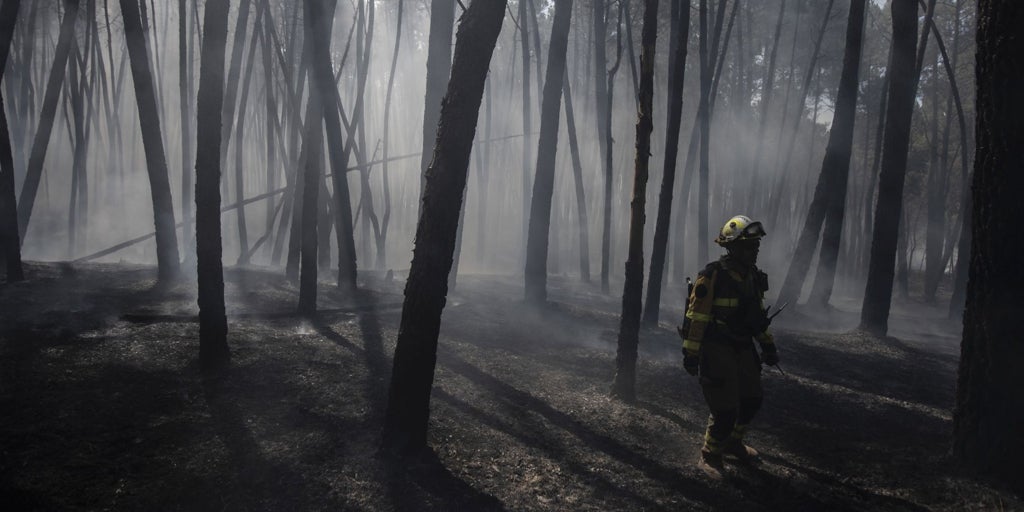 Los criterios y técnicas del pasado «no valen» para detener futuros incendios