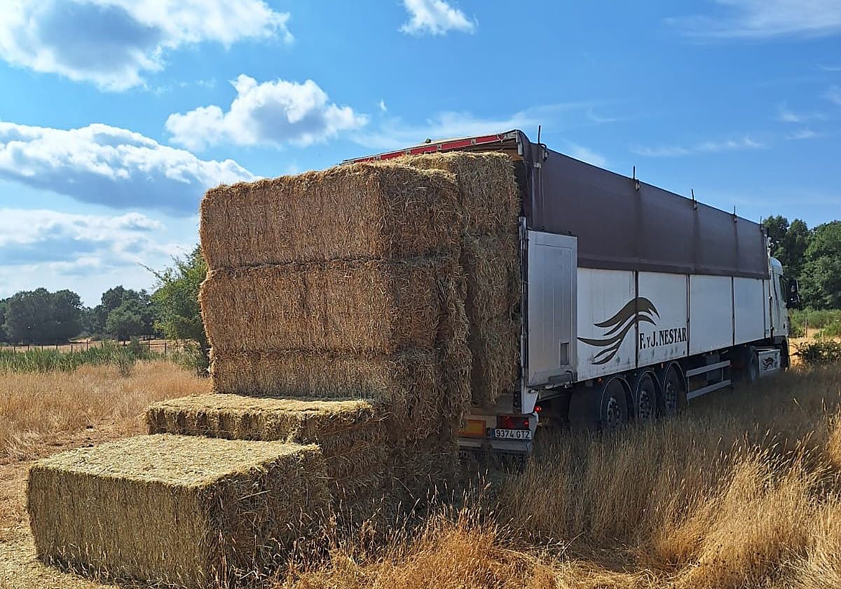 Descarga de alimentación para ganaderías afectadas por los incendios