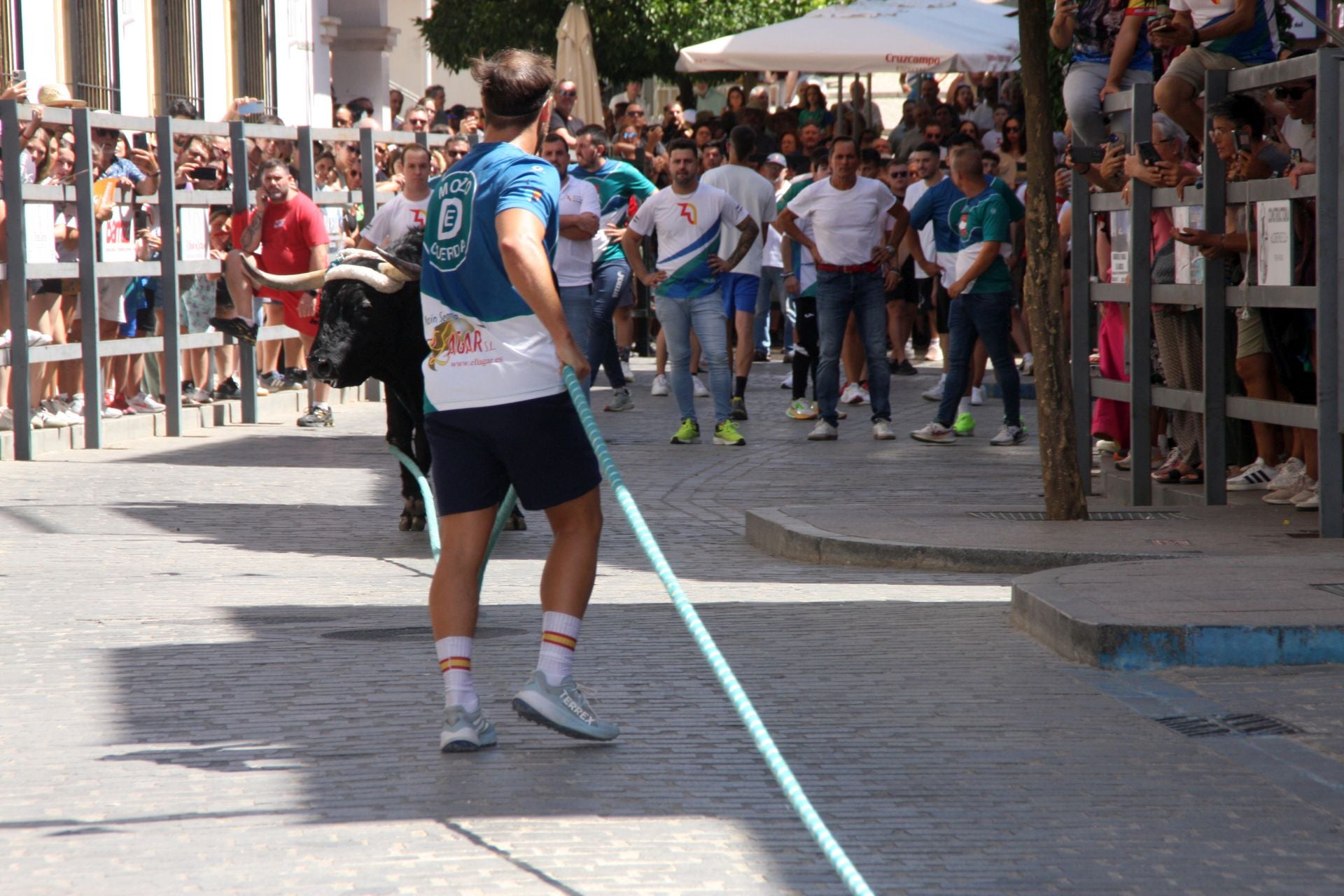 El emocionante Toro de Cuerda de Carcabuey, en imágenes