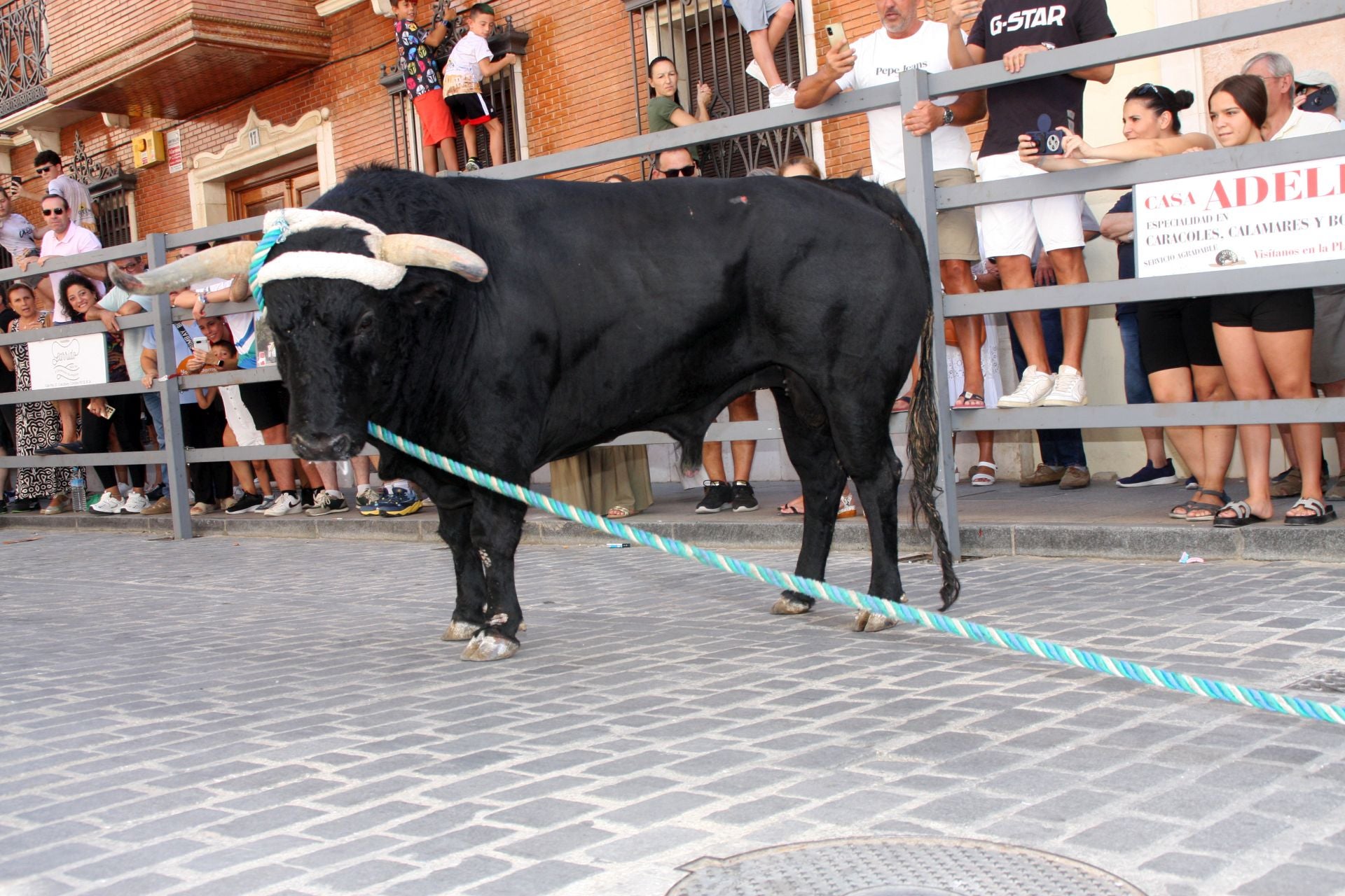 El emocionante Toro de Cuerda de Carcabuey, en imágenes