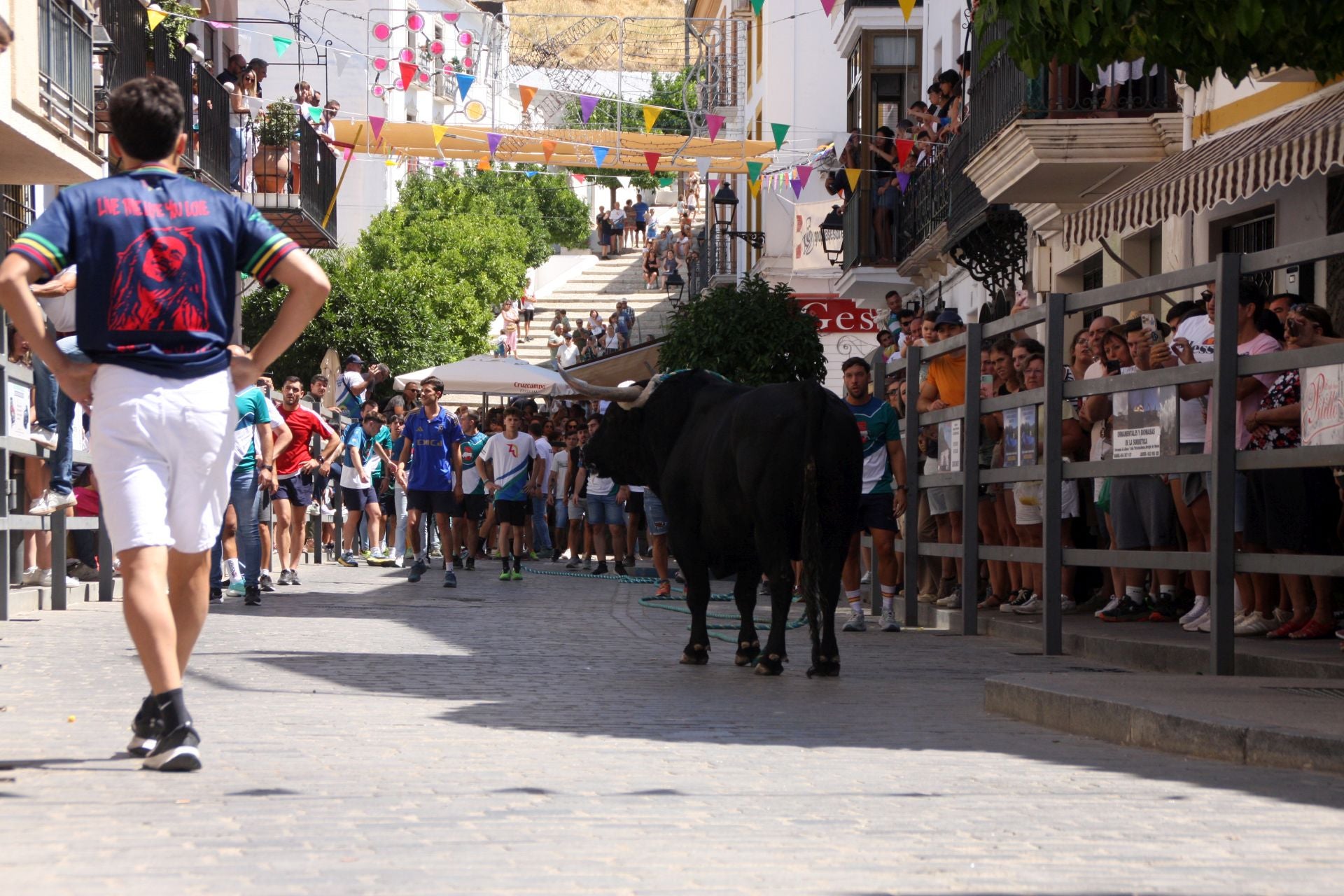 El emocionante Toro de Cuerda de Carcabuey, en imágenes
