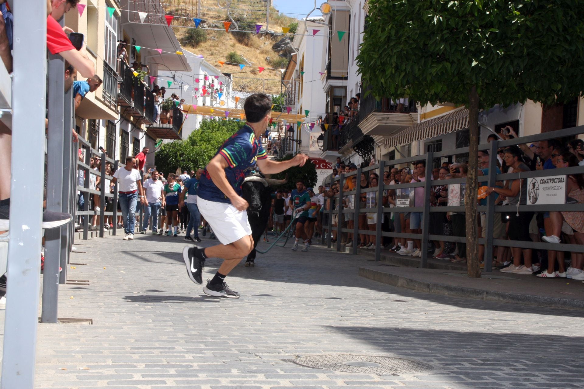 El emocionante Toro de Cuerda de Carcabuey, en imágenes