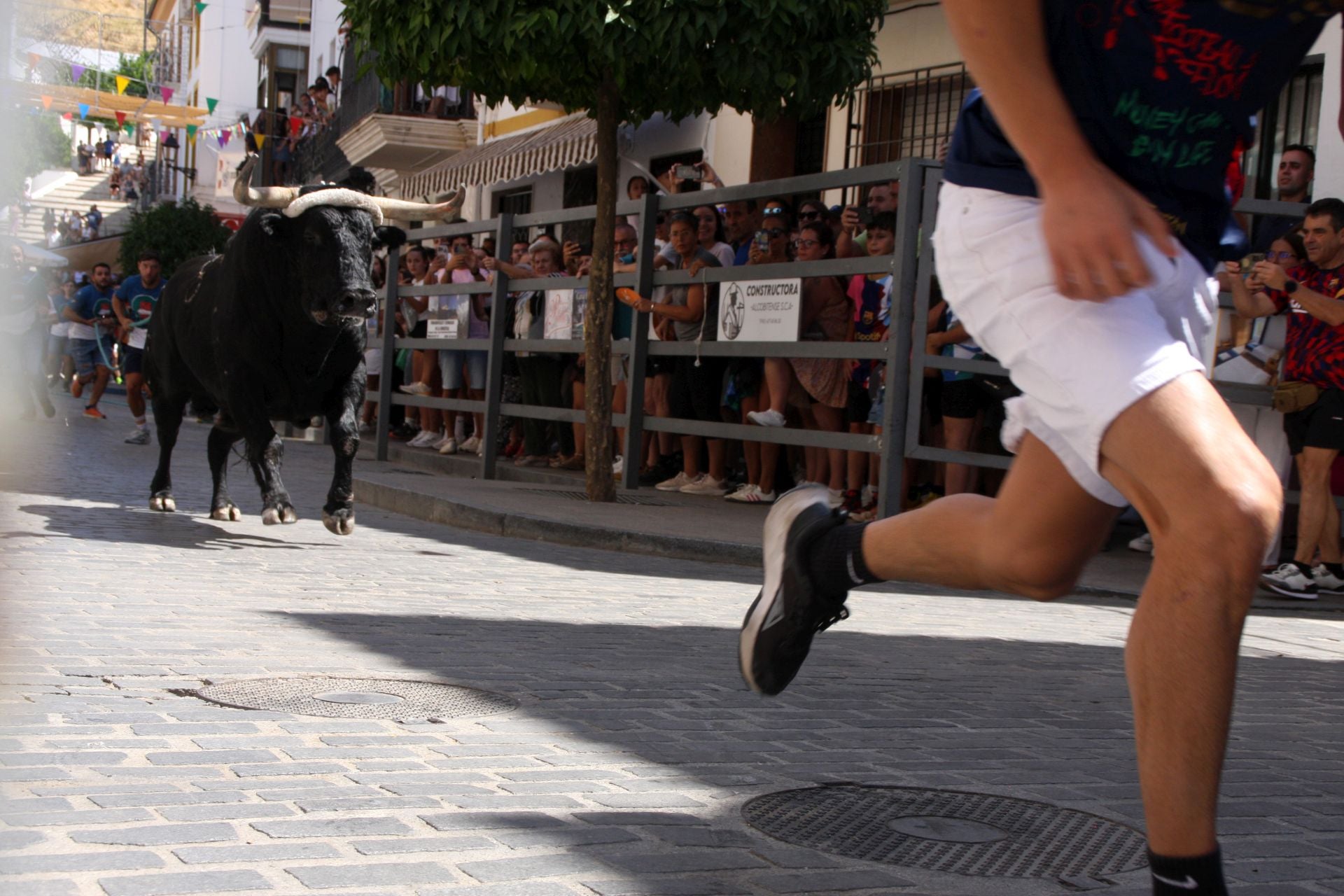 El emocionante Toro de Cuerda de Carcabuey, en imágenes