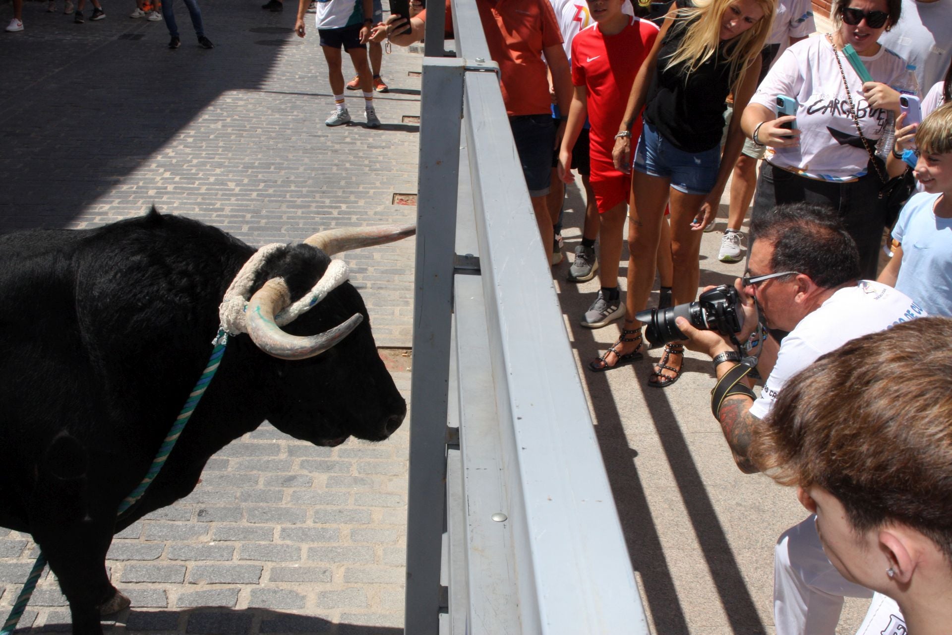 El emocionante Toro de Cuerda de Carcabuey, en imágenes