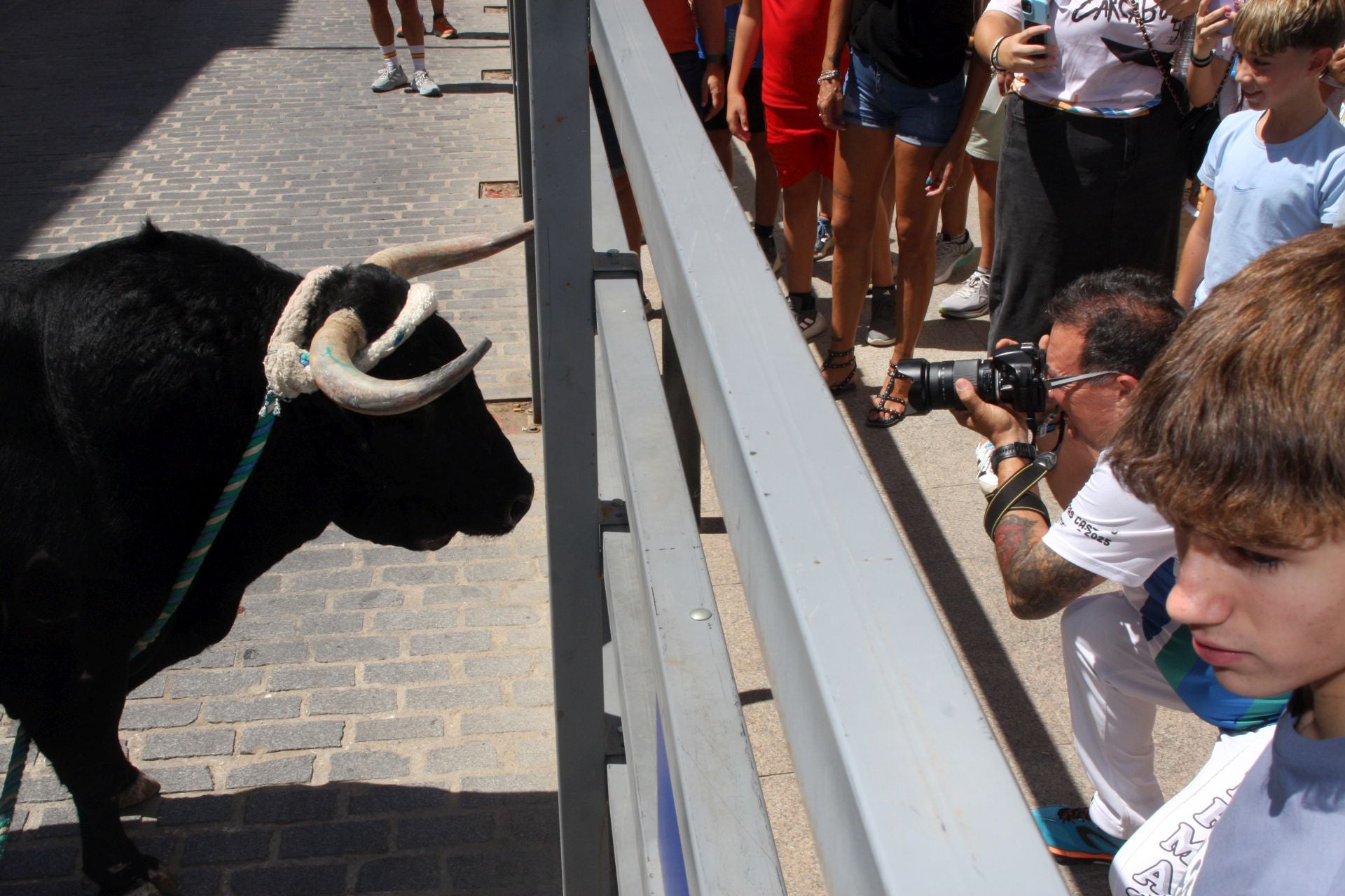 El emocionante Toro de Cuerda de Carcabuey, en imágenes