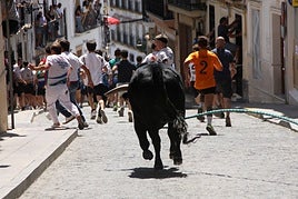 El Toro de Cuerda desata pasiones en Carcabuey