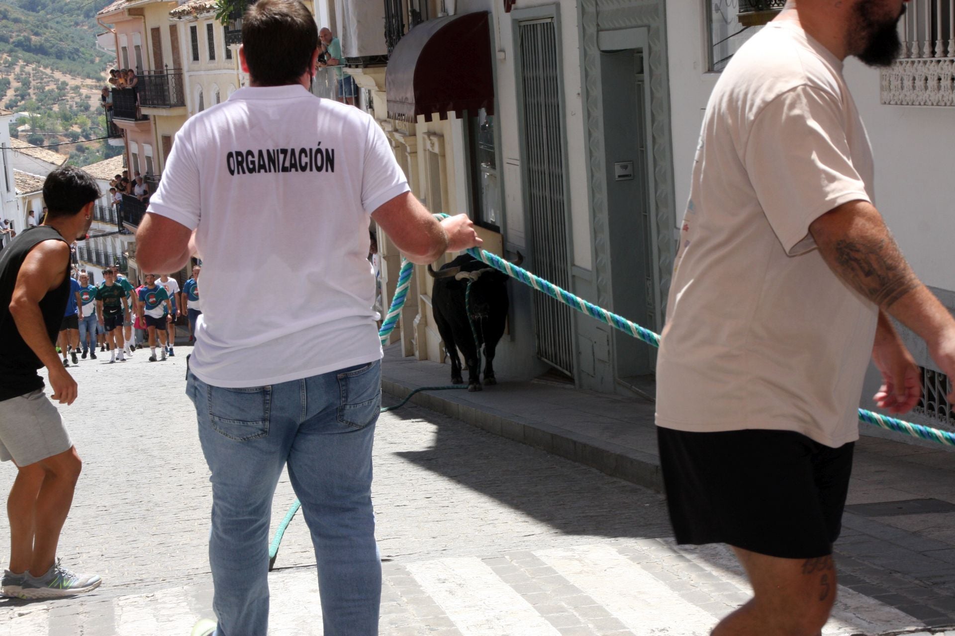 El emocionante Toro de Cuerda de Carcabuey, en imágenes
