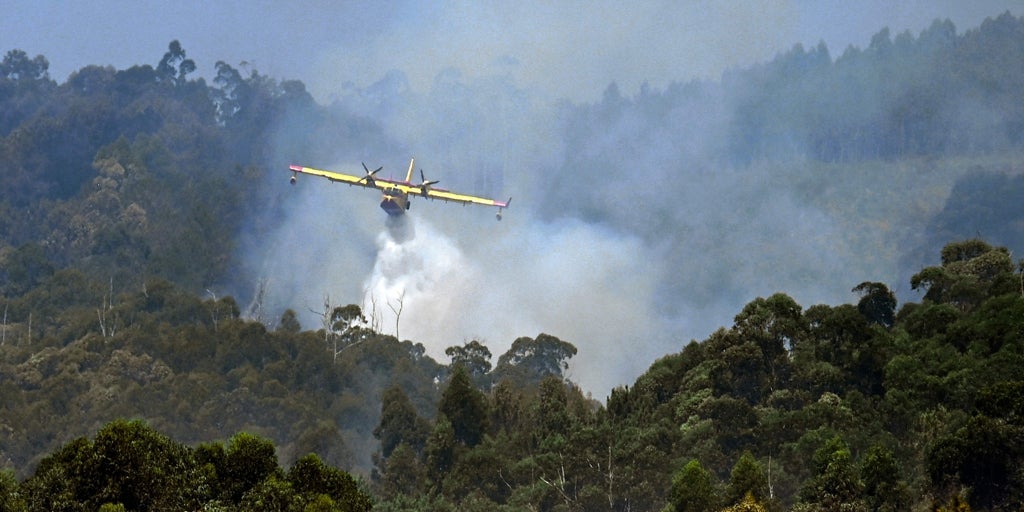Dos de los grandes incendios de Orense ya están estabilizados