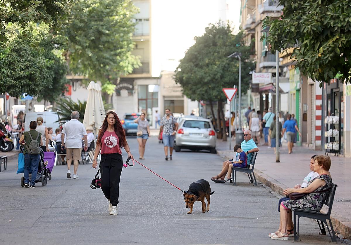 Imagen actual de la avenida de la Viñuela