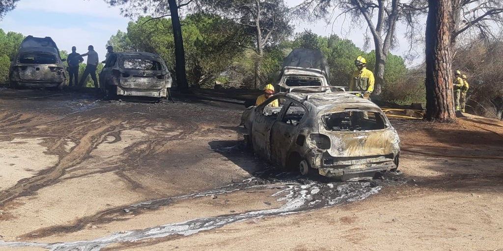 Las Brigadas Forestales retoman su huelga tras los incendios y la falta ...