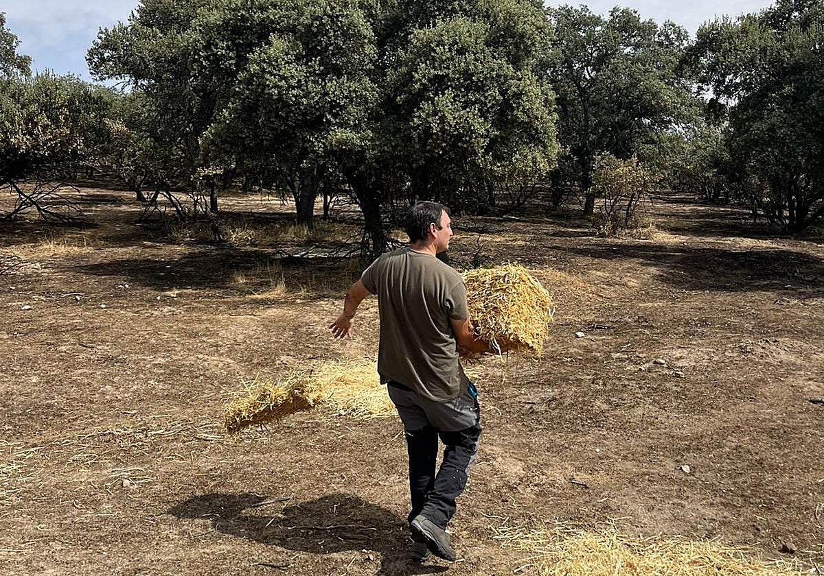 Uno de los técnicos del CRAS llevando comida a los animales