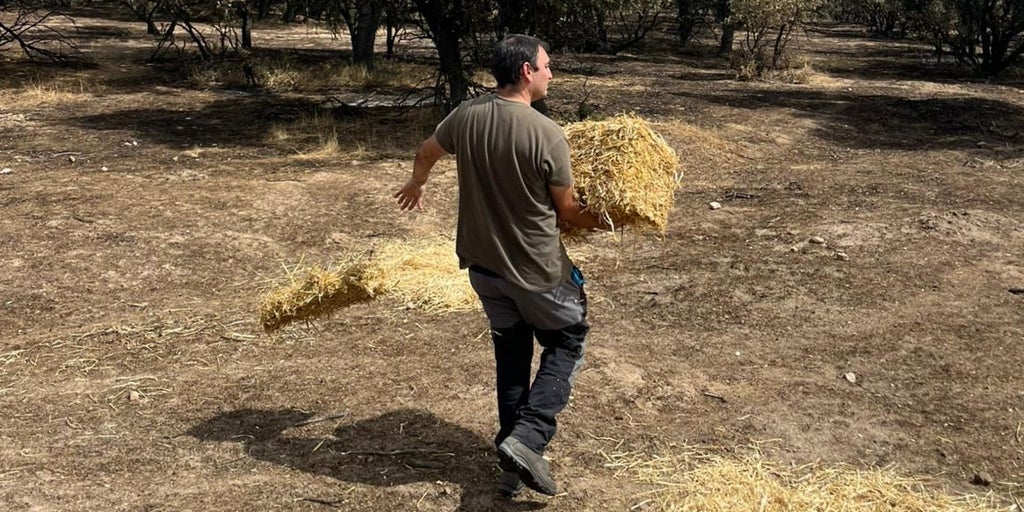 Reparten 600 kilos de comida y 40.000 litros de agua a la fauna afectada por el incendio de Tres Cantos